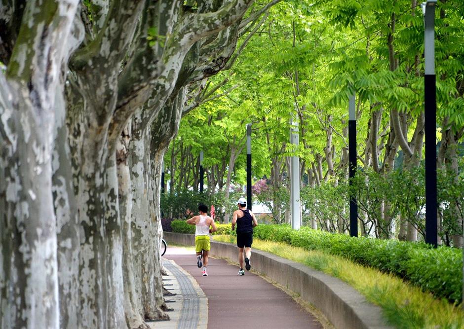 Shanghai's jogging paradise: 3 scenic routes to explore the city