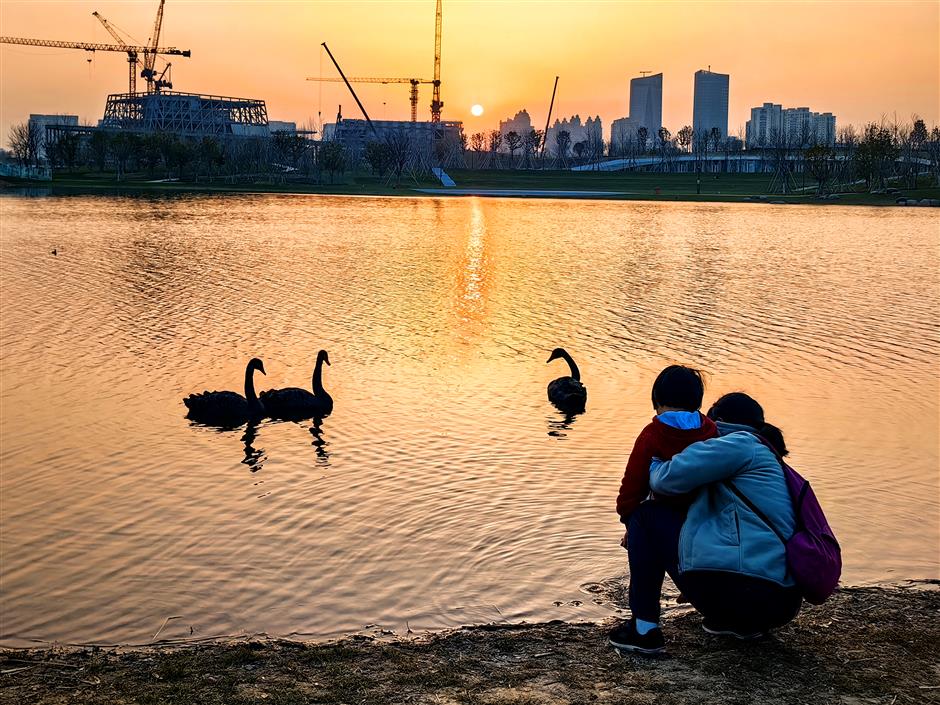 The Ultimate Guide For an Unforgettable Cruise Along the Huangpu River