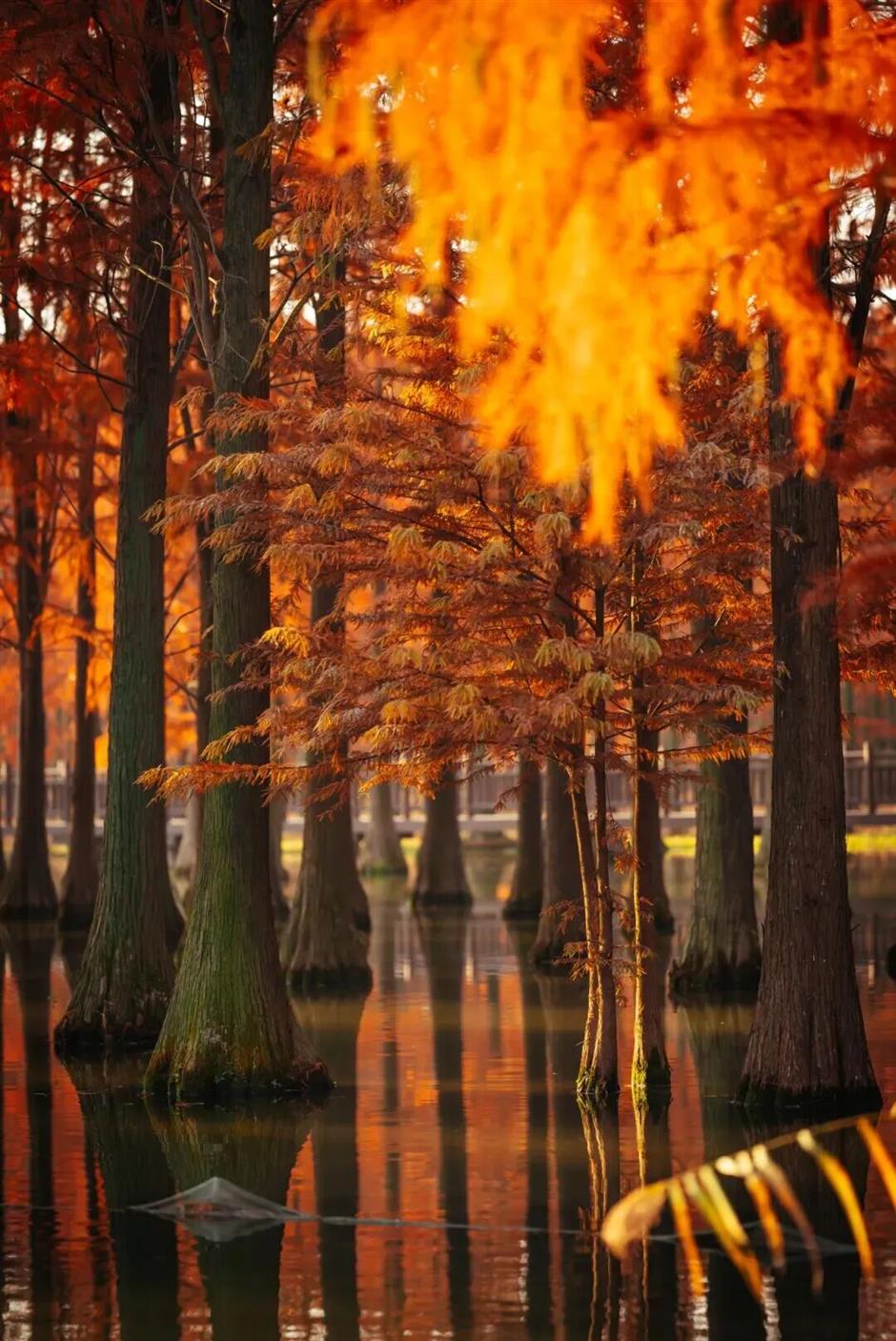 打卡!集章!赢大奖!