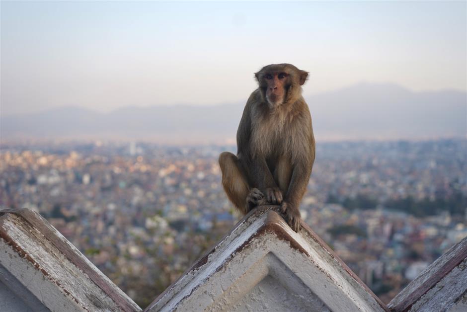 [Weekend Escape] What to Do, Eat & Drink in Kathmandu, Nepal