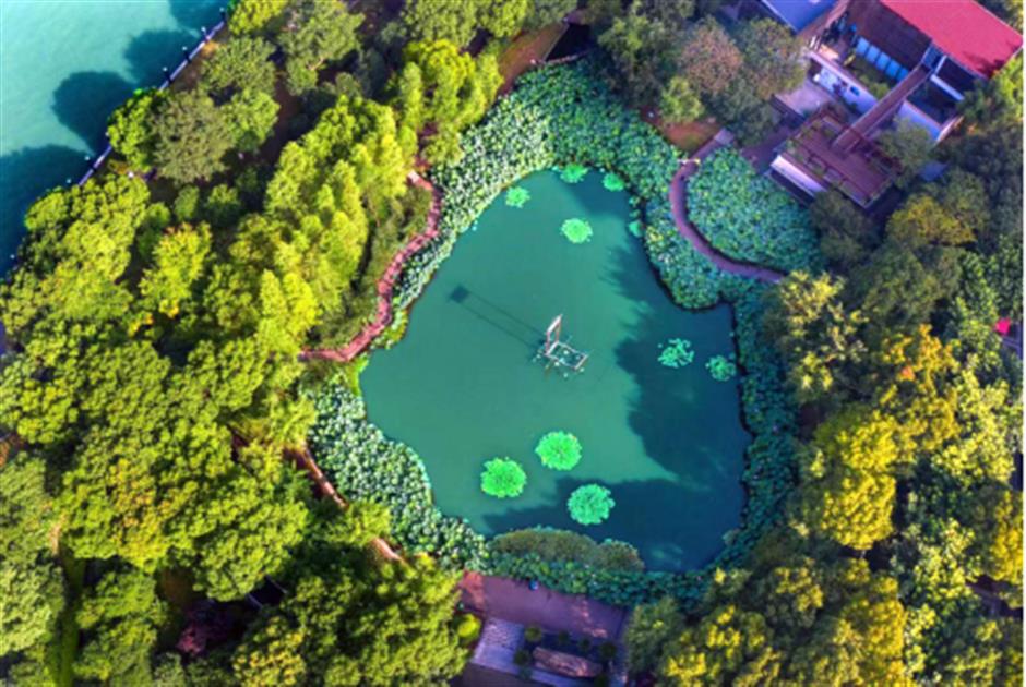 旅超 | 普陀、嘉定专场来啦!承包你的元旦嗨游