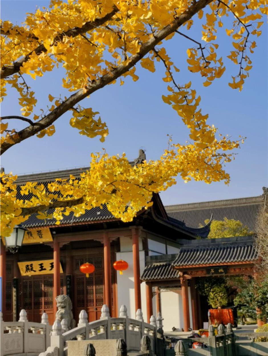 旅超 | 普陀、嘉定专场来啦!承包你的元旦嗨游