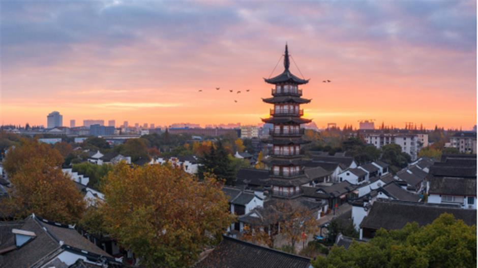 旅超 | 普陀、嘉定专场来啦!承包你的元旦嗨游