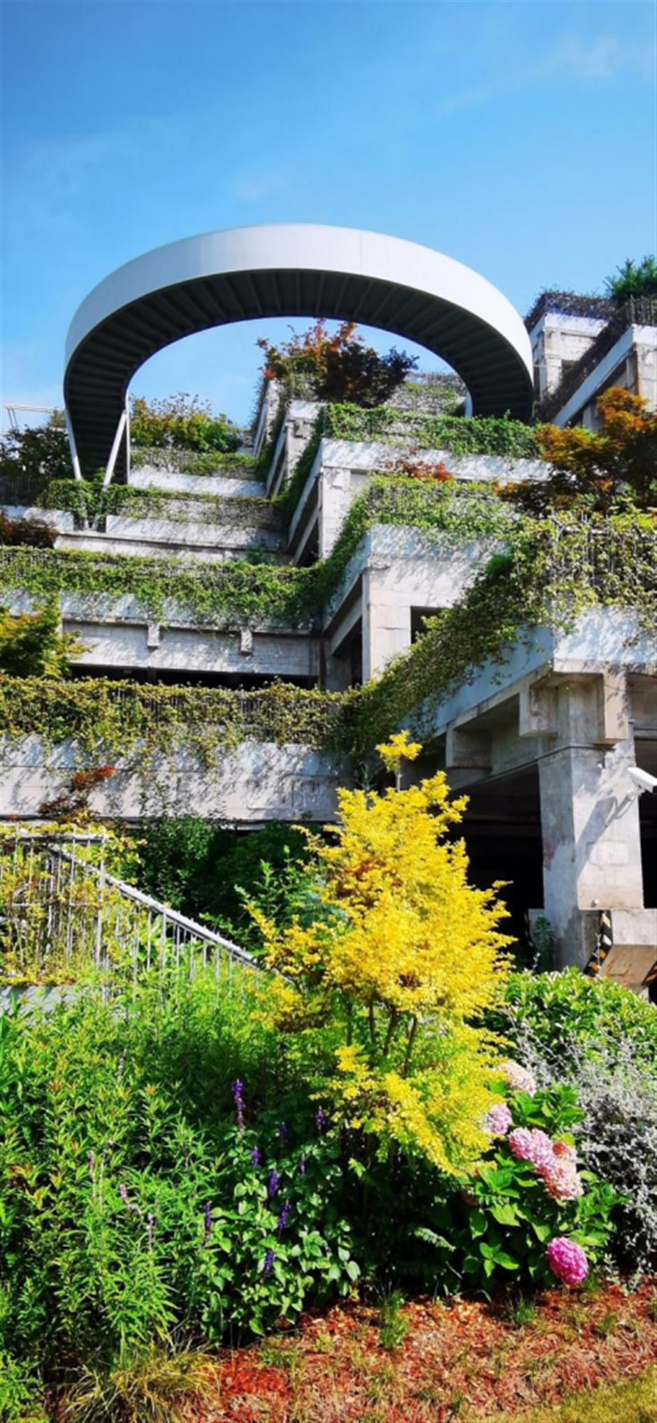 旅超打卡!走进最美公共文化空间,来一场滨江漫游