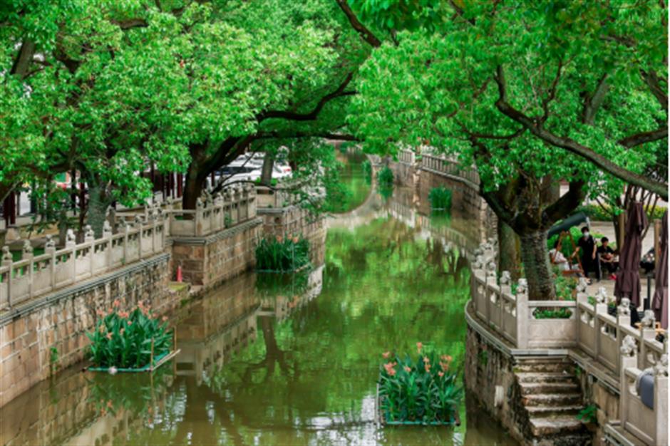 旅超 | 普陀、嘉定专场来啦!承包你的元旦嗨游