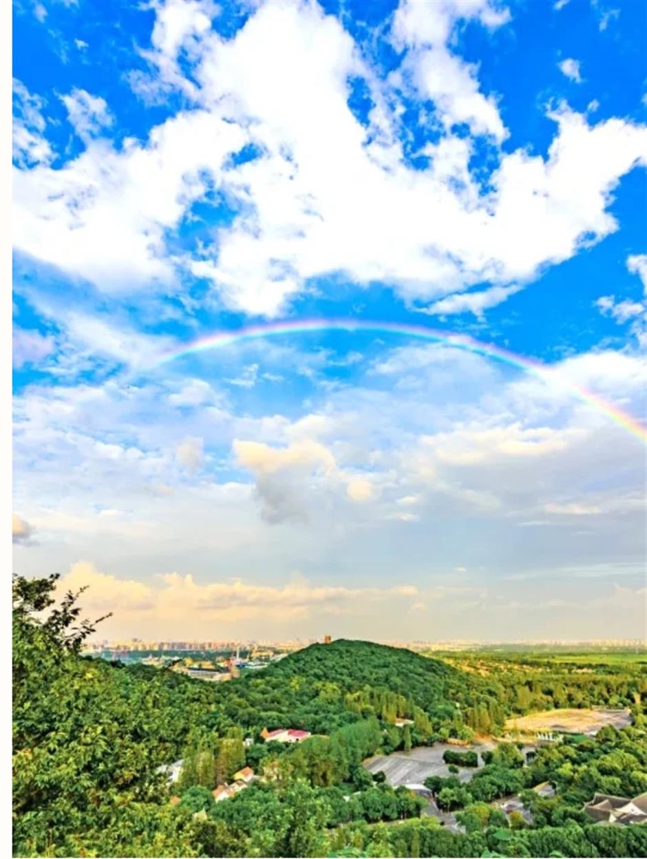 新年,向上!魔都10大登高之选