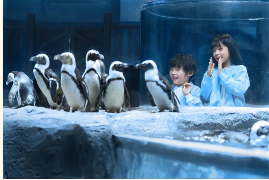 魔都特好玩!这些景区古镇换新年皮肤啦