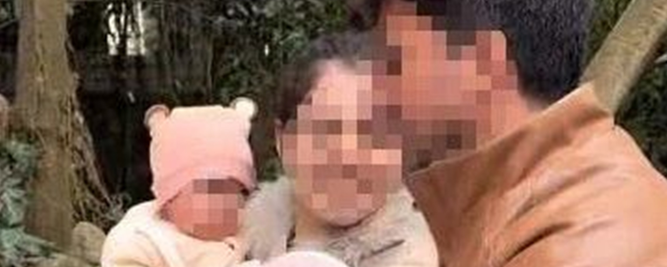 Foreign Couple Leaves Twin Babies with Park Guard While Taking Cable Car