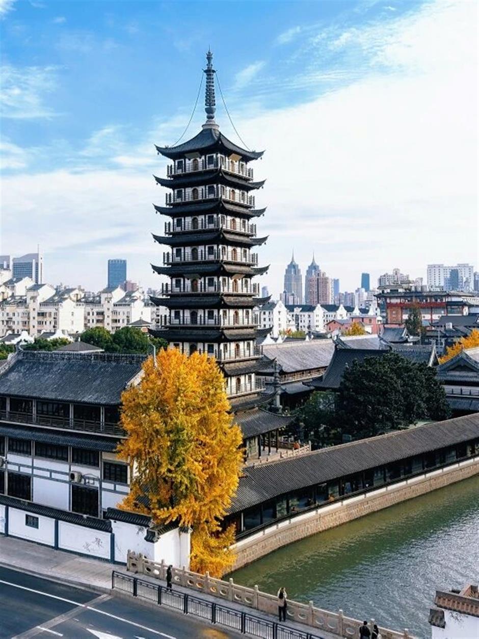 旅超 | 魔都这个宝藏区,随手一拍都是大片!