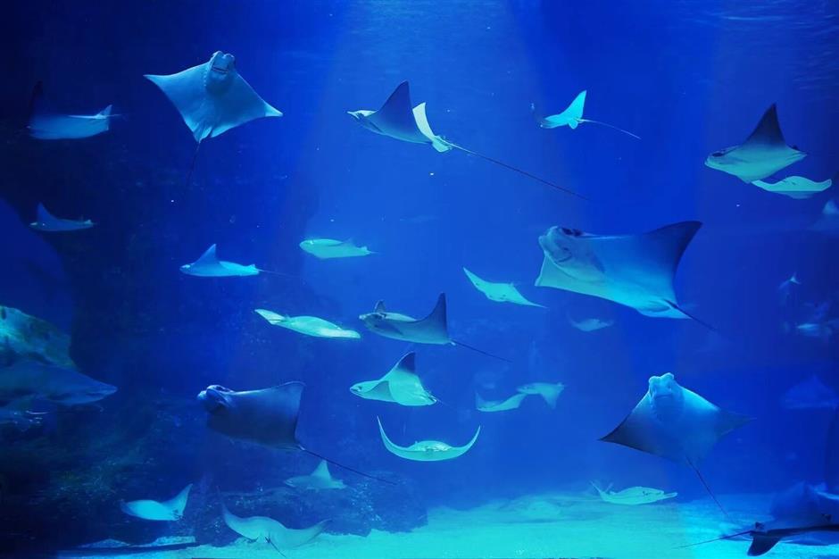 旅超 | 魔都这个宝藏区,随手一拍都是大片!