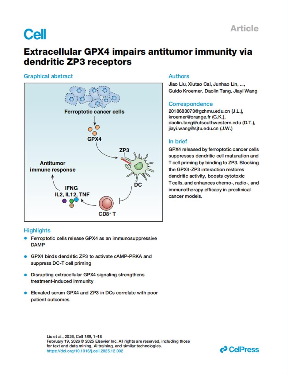 [China Tech] Local Experts Identify a New Cancer Target