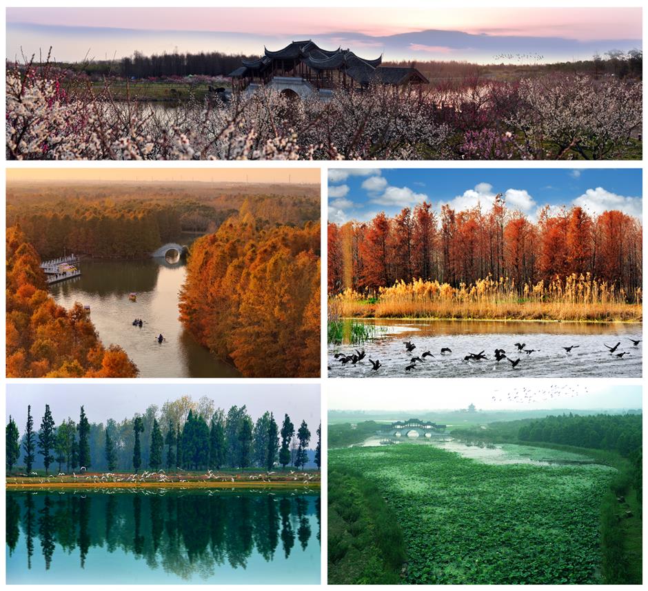 Fengxian: an Unforgettable Journey Blending Tradition and Innovation