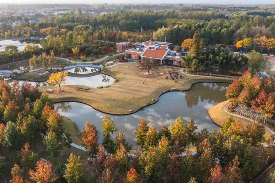 旅超 | 初冬逛沪郊!奉贤+崇明限时优惠,把诗意和实惠一起打包