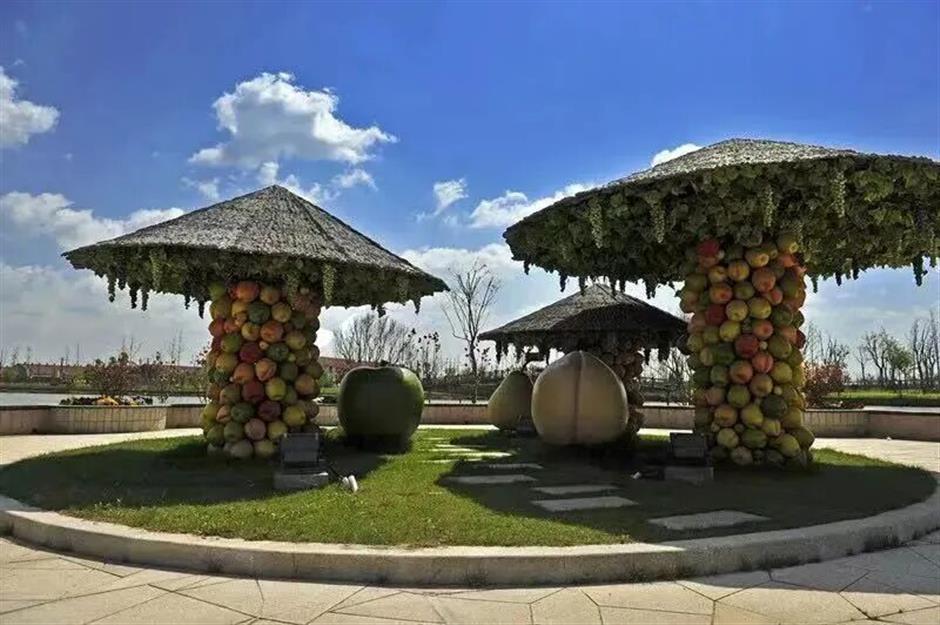 旅超 | 初冬逛沪郊!奉贤+崇明限时优惠,把诗意和实惠一起打包