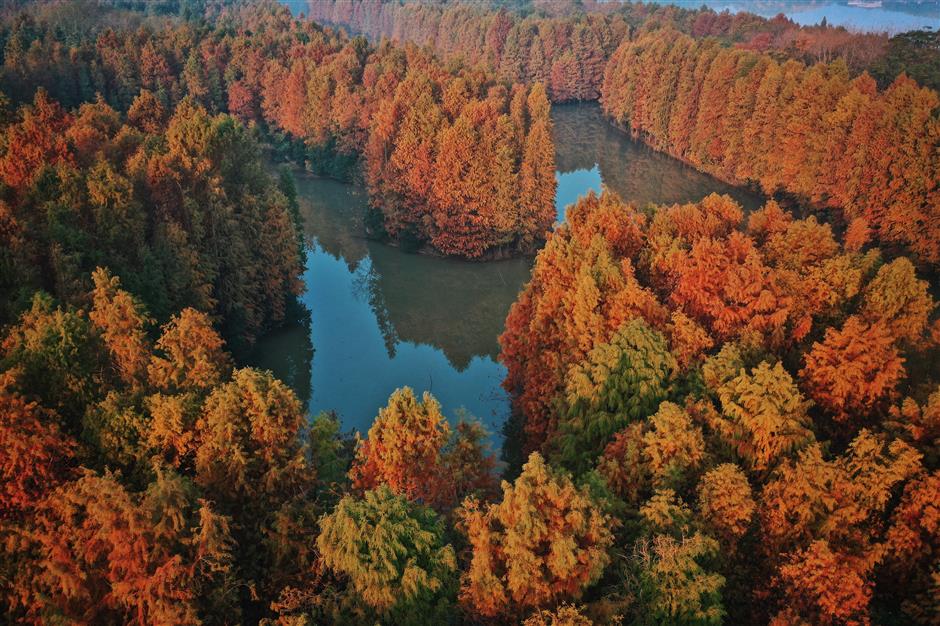 Fengxian: an Unforgettable Journey Blending Tradition and Innovation