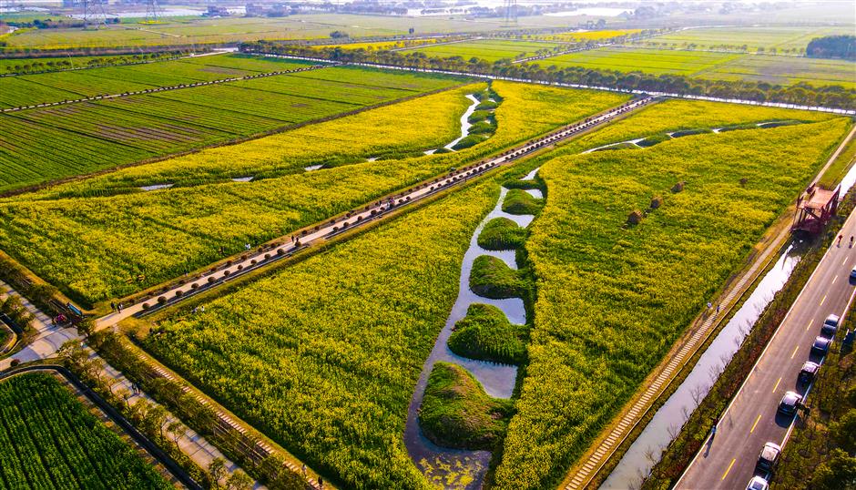Fengxian: an Unforgettable Journey Blending Tradition and Innovation