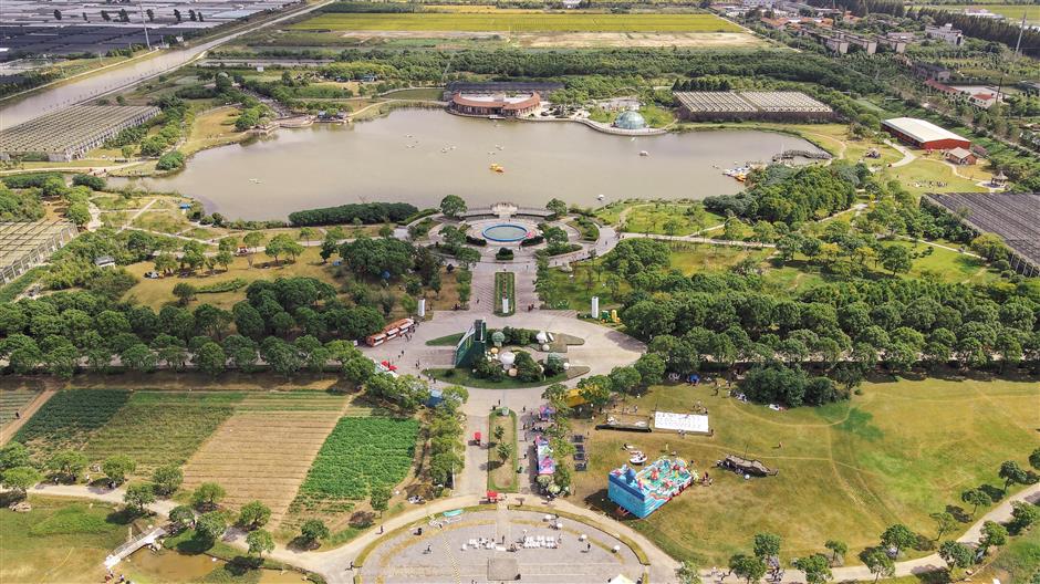 Fengxian: an Unforgettable Journey Blending Tradition and Innovation