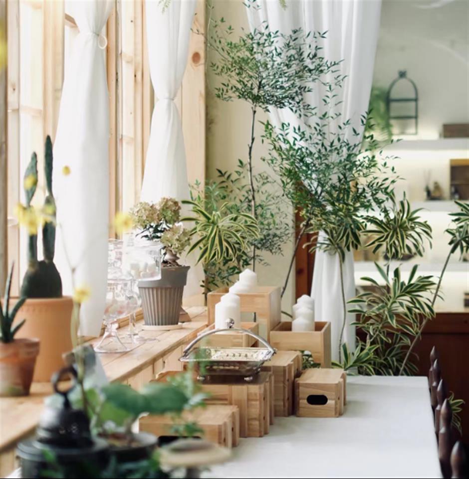 旅超 | 初冬逛沪郊!奉贤+崇明限时优惠,把诗意和实惠一起打包