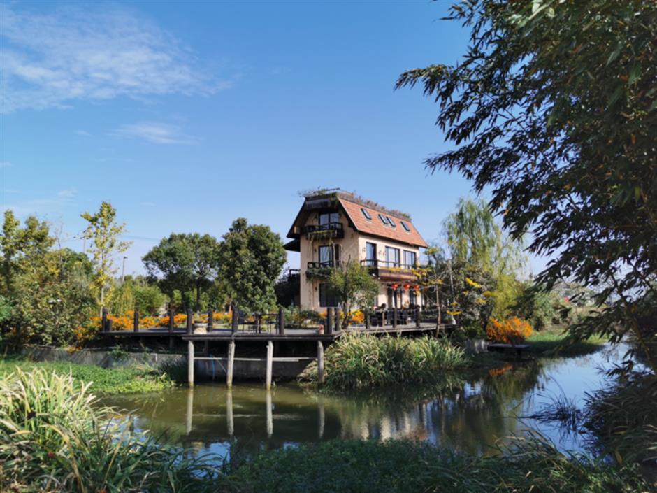 旅超 | 初冬逛沪郊!奉贤+崇明限时优惠,把诗意和实惠一起打包