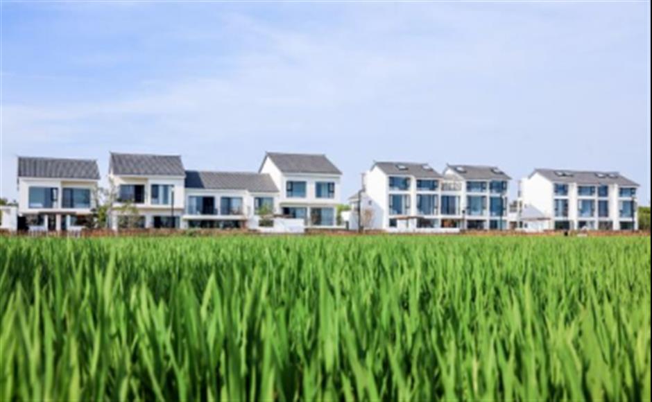 旅超 | 初冬逛沪郊!奉贤+崇明限时优惠,把诗意和实惠一起打包