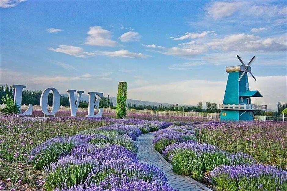 旅超 | 初冬逛沪郊!奉贤+崇明限时优惠,把诗意和实惠一起打包