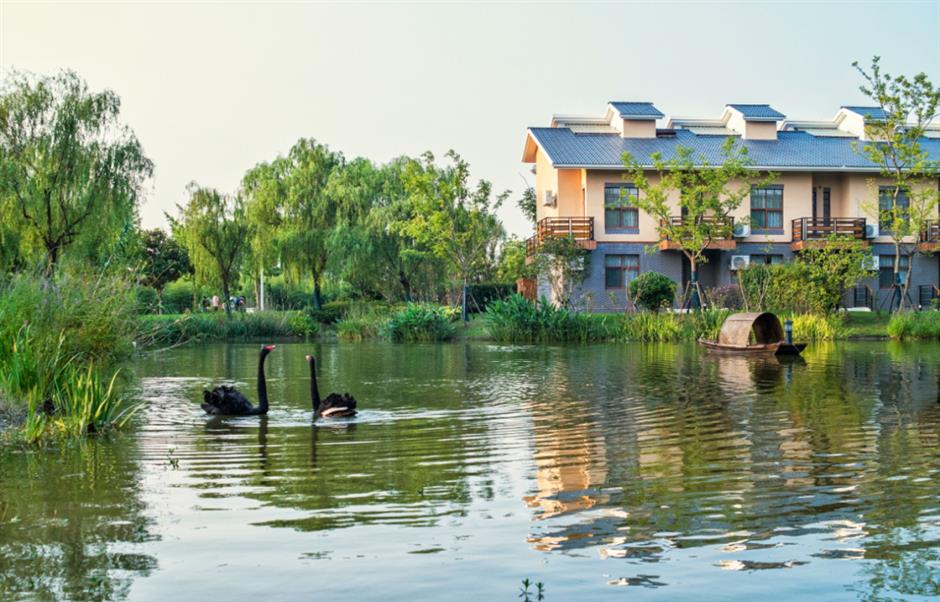 旅超 | 初冬逛沪郊!奉贤+崇明限时优惠,把诗意和实惠一起打包