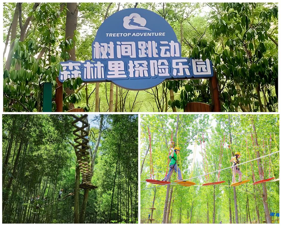 旅超|藏不住了!上海奉賢私藏的絕美風光,終於要刷屏了!