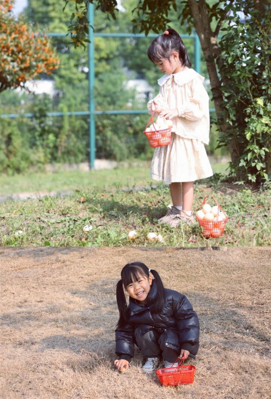 旅超|藏不住了!上海奉賢私藏的絕美風光,終於要刷屏了!