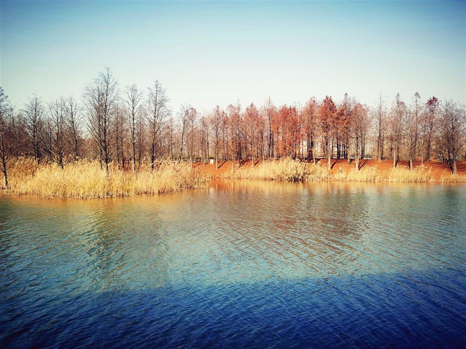 Shanghai's 'Park City' Ambition on Steady Path