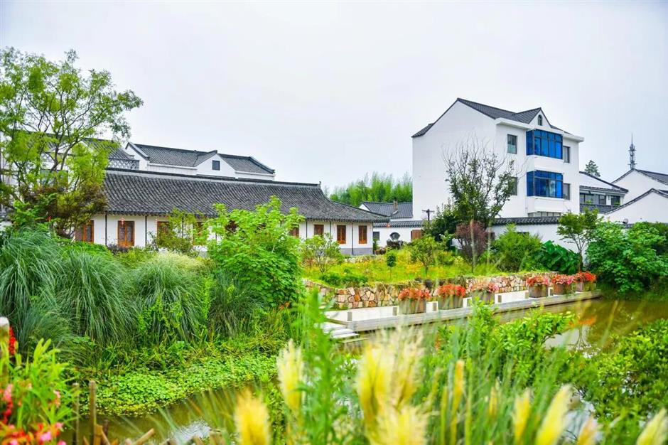 旅超|藏不住了!上海奉賢私藏的絕美風光,終於要刷屏了!