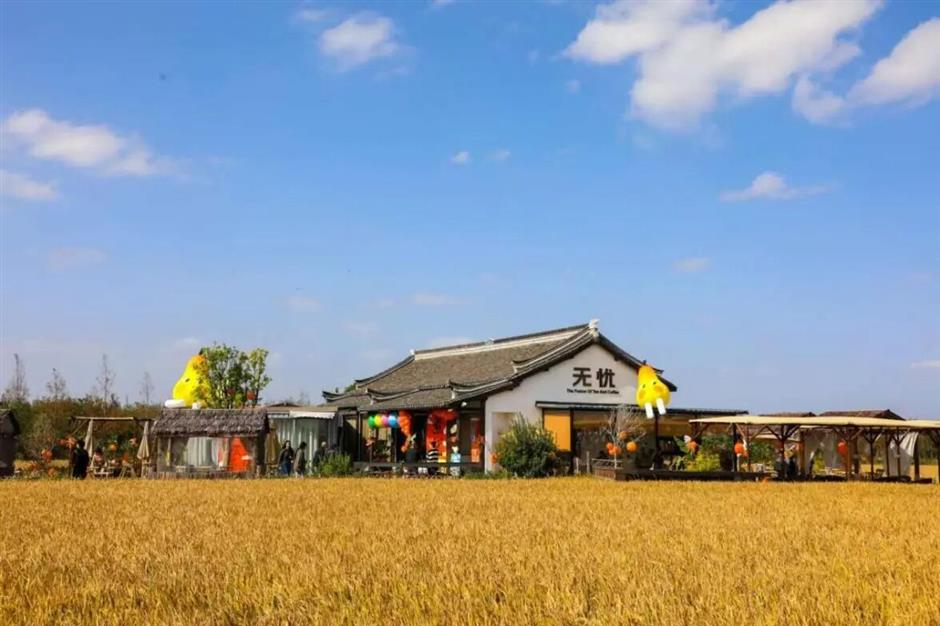 旅超|藏不住了!上海奉賢私藏的絕美風光,終於要刷屏了!