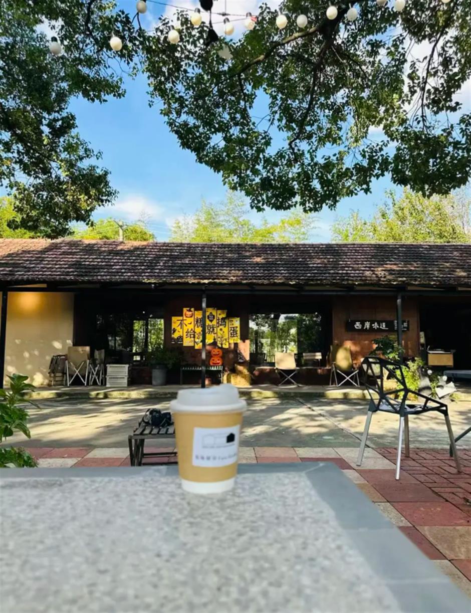 旅超|崇明冬日漫游图鉴:做陶艺、划船、追落日……