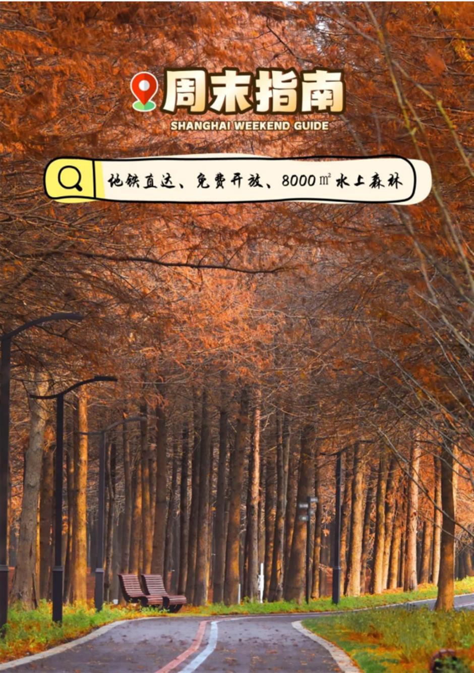免费新开!魔都8000平方米水上森林!