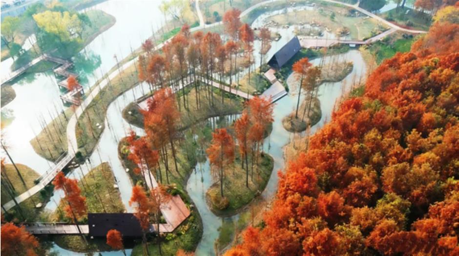 免费新开!魔都8000平方米水上森林!