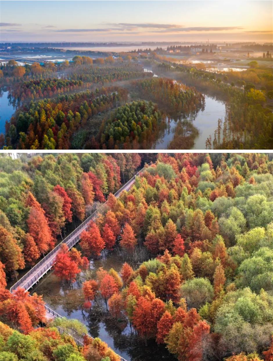 旅超|崇明冬日漫游图鉴:做陶艺、划船、追落日……