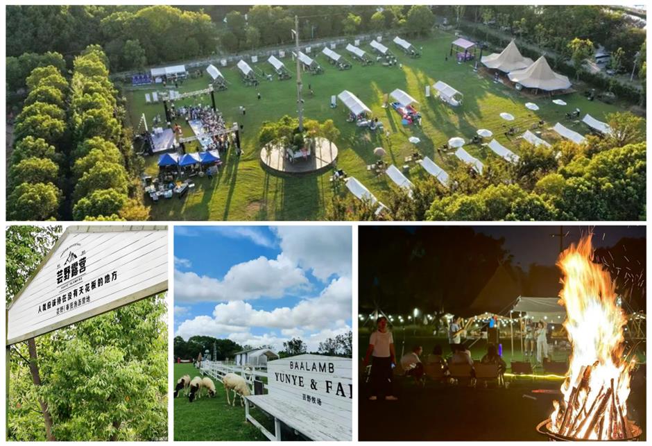 旅超|马年春节3天2晚,到奉贤赴一场古韵、森氧与潮趣的新年之约