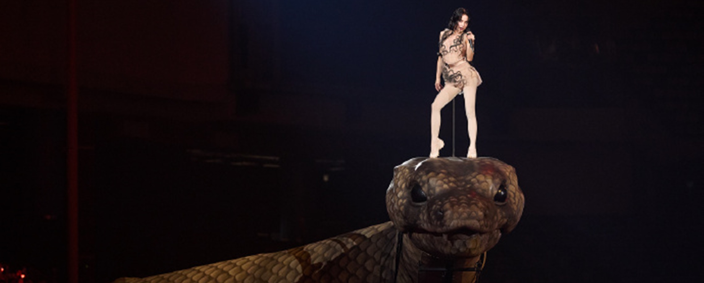 Jolin Tsai's Tour Producer Takes Legal Action Over Online Smears