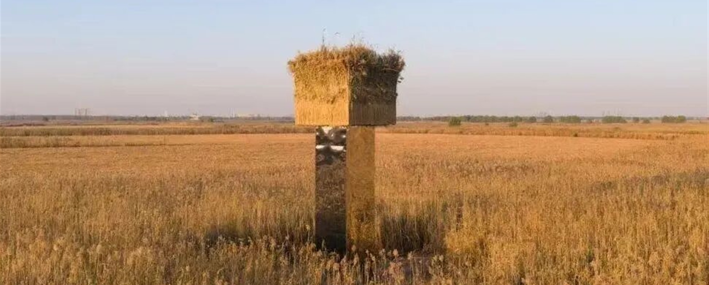 Mirrored Art Tower Dismantled After Bird Safety Uproar