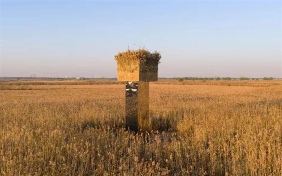 Mirrored Art Tower Dismantled After Bird Safety Uproar