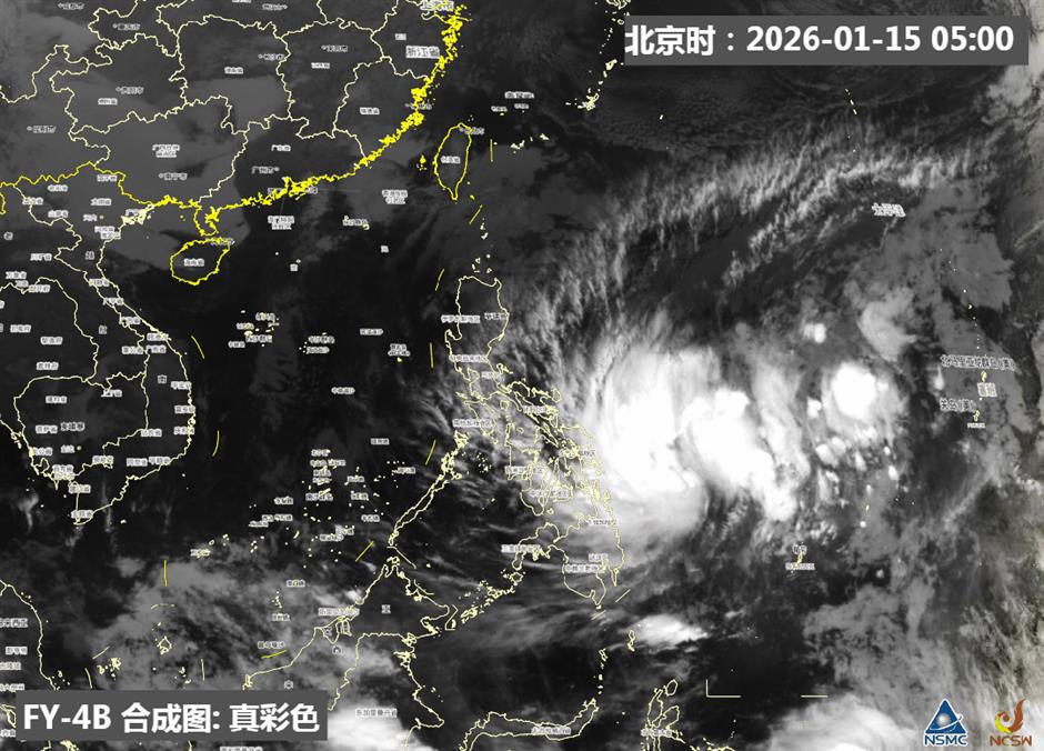 Shanghai Spring? Flowers Bloom in Warm January Spell But Colder Days Loom