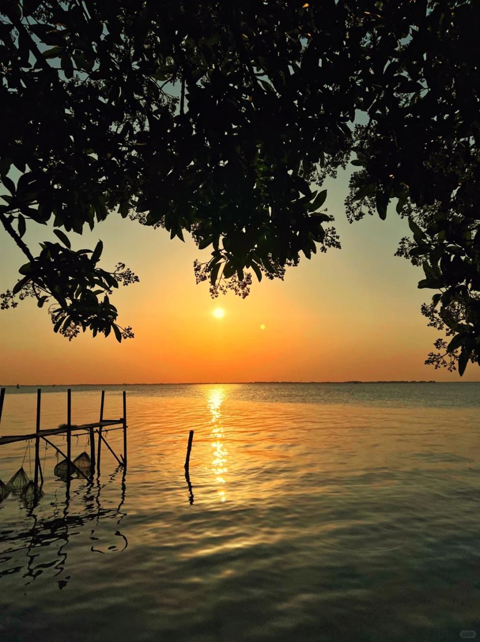 莫奈同款绝美落日!就在魔都这个