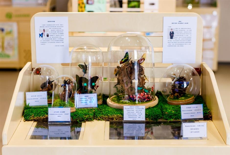 'Beauty and Nature Symbiosis' Exhibition Opens at the Oriental Beauty Valley