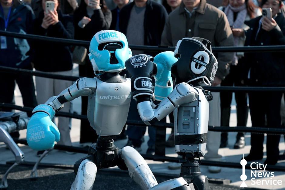 Baoshan Aims to Build Global Hub for Humanoid Robots
