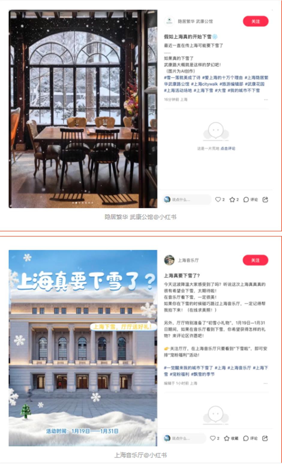 上海的雪,下得很认真!