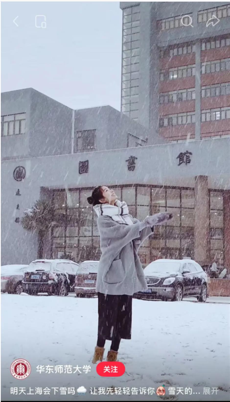 上海的雪,下得很认真!