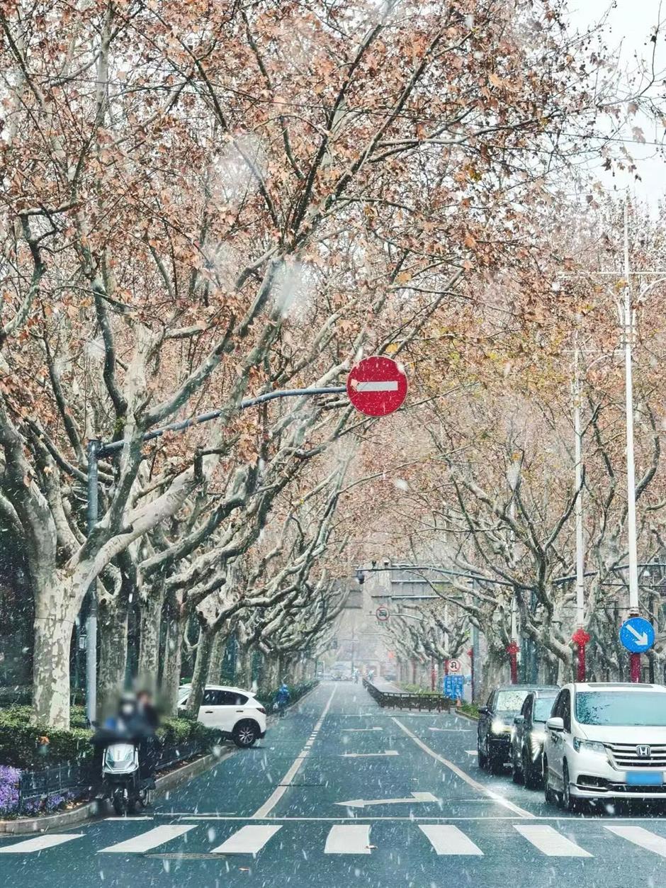 Shanghai Wakes Up to a Rare White Morning