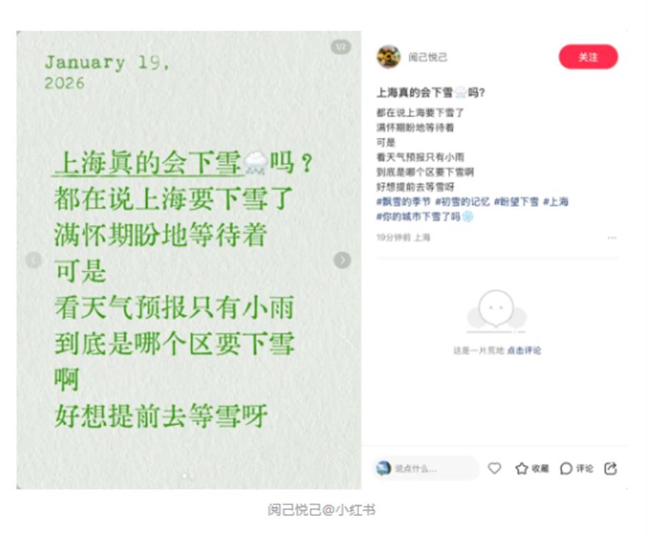 上海的雪,下得很认真!