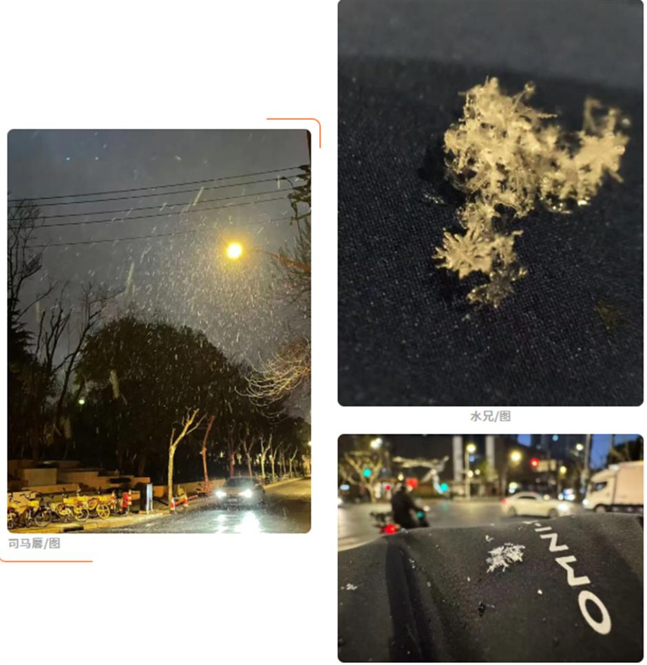 上海的雪,下得很认真!