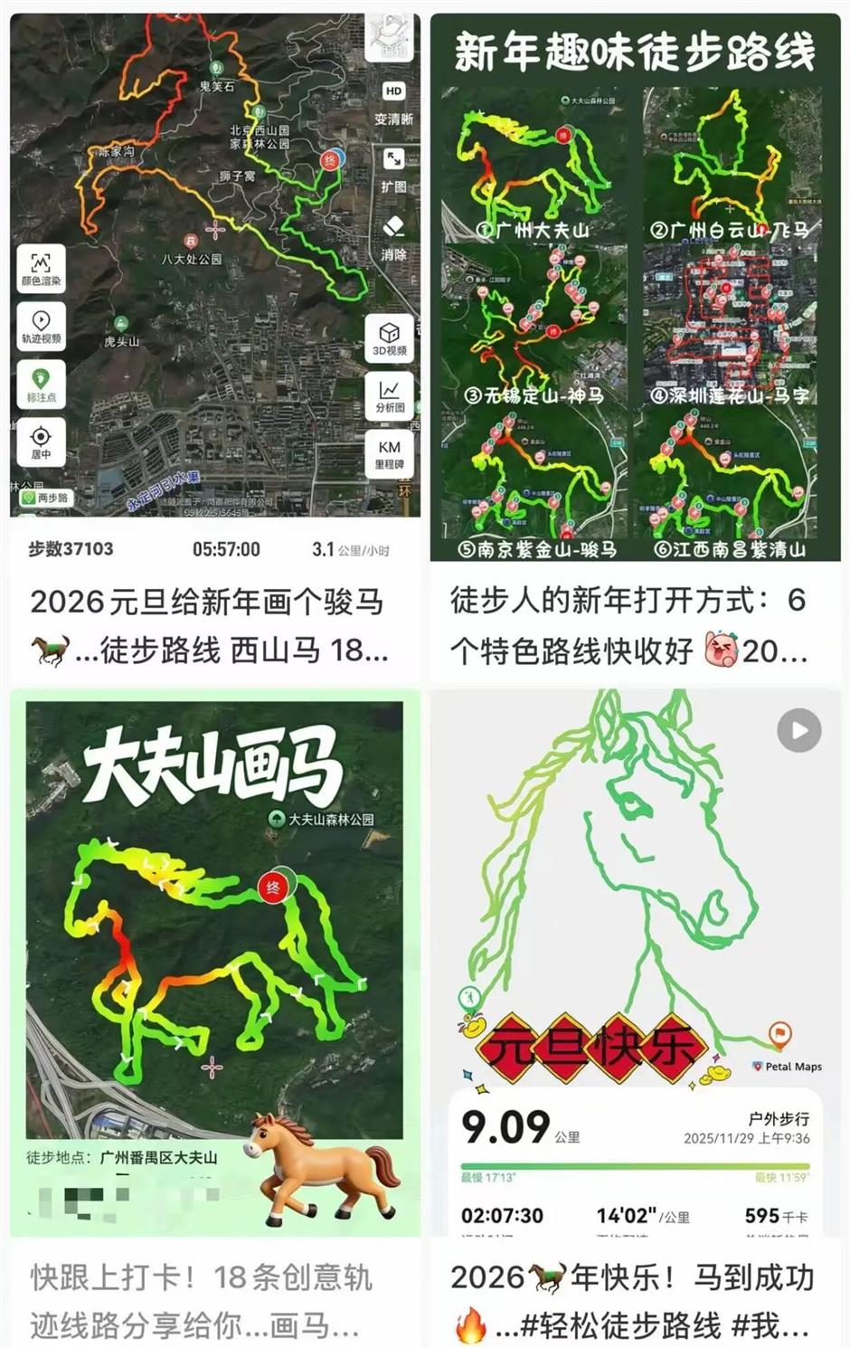 Walking 'Horses' on Maps Sparks Safety Concerns in China