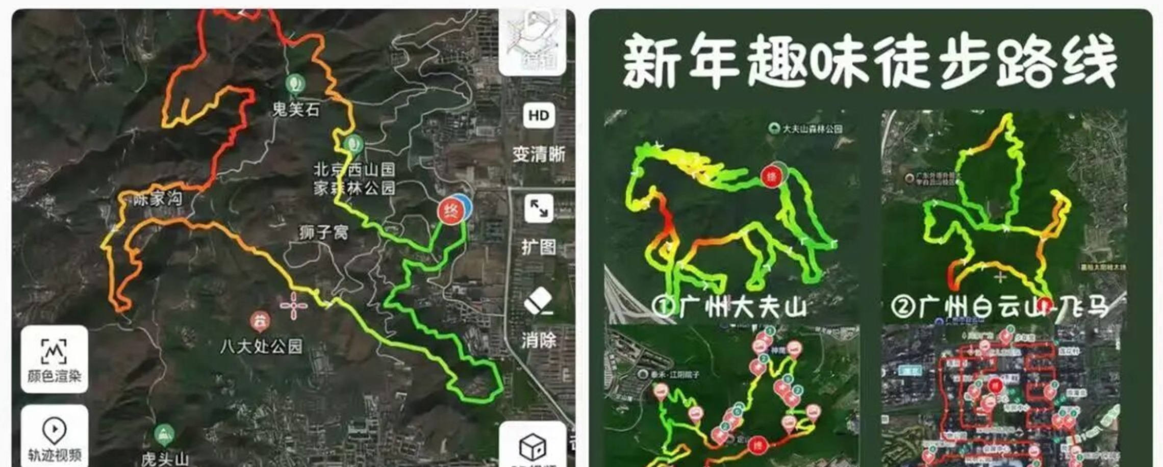 Walking 'Horses' on Maps Sparks Safety Concerns in China